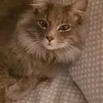 Pamela Bradshaw - @pamelabillie62 - Instagram