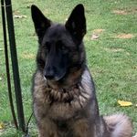 Pamela Sue Bisson Payne - @stihlboy6085 - Instagram