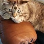 Pamela Blankenship - @pamela_blankenship - Instagram