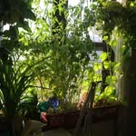 Pamela Bloomer - @jewelry2gov - Instagram