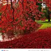 Pamela Bly - @pamela.bly - TikTok