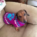 Pamela Bold - Facebook