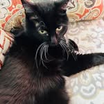 Pamela Bolin Marsiliusen - @pammarsiliusen - Instagram