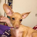 Pamela Bounds - @pbounds - Instagram