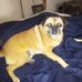 Pamela Bounds - Facebook