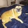 Pamela Bounds - @pamela.bounds - TikTok