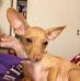 Pamela Bounds - Facebook