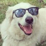 Pamela Braxton - @crayonthugtruck - Instagram