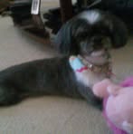 Pamela Braxton - Facebook