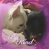 Pamela Brinkerhoff - @pamelabrinkerhoff - TikTok