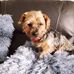 Pam Brophy - Facebook