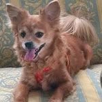 pamela castello - @meissipardo - Instagram