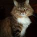 Pamela Chute - Facebook