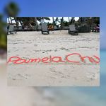 PamelaChu Team - @pamelachu.team - Instagram