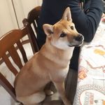 Pamela Colombo - @pamelacolombo1 - Instagram