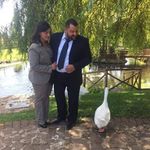 Pamela Colombo - @pamela.colombo.it - Instagram