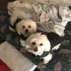 Pamela Colombo - @pammax7581 - TikTok