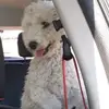 pamelacolombo1081 - @pamelacolombo1081 - TikTok