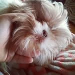 Pamela Croy - @pamelacroy - Instagram