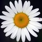 Pamela Current - Facebook