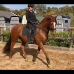 Pamela de Vries - @pameladevries63gmail.com_ - Instagram
