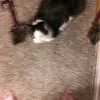 married old lady - @pameladowning26 - TikTok
