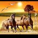 Pamela Downs - Facebook
