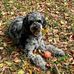 Pamela Dugger - Facebook