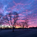 Pam Dorinzi Easterling - @pjeasterling - Instagram