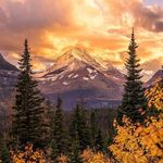 Pamela Easterling-Brasher - @pamela.easterlingbrasher - Instagram