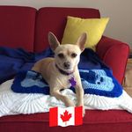 Pamela Eberly - @eberly_pamela - Instagram