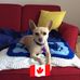 Pamela Eberly - Facebook