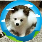 Pamela Ebner - Facebook