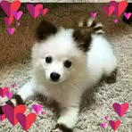 Pamela Ebner - Facebook