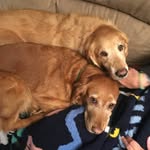 Pamela Ebner Simard - @spamebner - Instagram