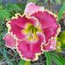 Pamela Eby Watts - Facebook