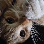 Pamela Eby Watts - @ebywatts - Instagram