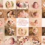 Pamela Fallon Photography - @pamelafallonphotography - Instagram