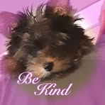 Pamela Feltner - Facebook
