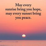 Pamela S. Feltner - @pamelasfeltner - Instagram