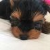 Pamela Fenner - Facebook