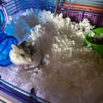Pamela_Flack - @pamelaeflack - Instagram