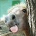 Pamela Frame Galda - Facebook