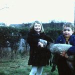 Pamela Frith - @silverpammie - Instagram