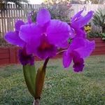 Pamela Goss - @pamelagoss.pg - Instagram