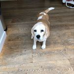 Pamela Goss - @goss2446 - Instagram