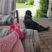 Pamela B Griffith - Facebook