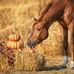 Pamela Griffith - Facebook