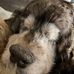Pamela S Hackman - Facebook