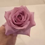 Pamela Valliere Hackworth - Facebook